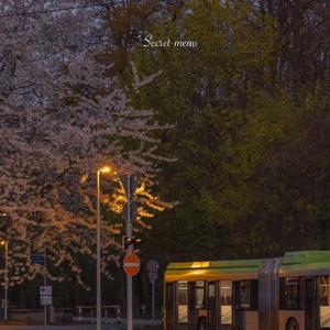 德州油缸厂家用小鹿营销导航
