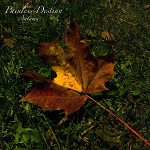 德州油缸厂家用小鹿营销导航
